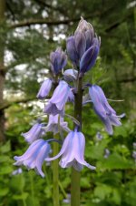 DSCN9018.jpg