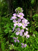 DSCN9024.jpg