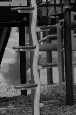 136 Jungle Gym-130516_1.jpg