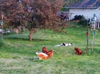 20130515-IMG_20130515_202756.jpg