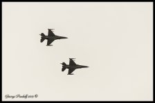 Day136Falcon.jpg