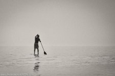 D8A_0740-Edit-2.jpg