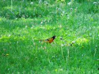 DSCN9145.jpg