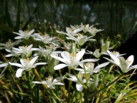 DSCN9124.jpg