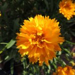 DSCN9121.jpg