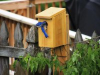 DSCN9158.jpg