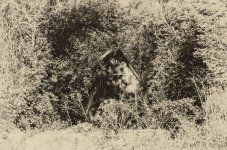 DSC_7130-Edit.jpg