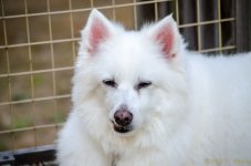 DSC_7096.jpg