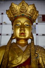 trat-51.jpg