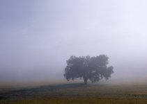 Kendall Campground-5879-Edit.JPG