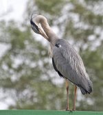 dsc_0457_35521654452_o.jpg