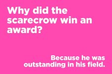 05-Corny-Jokes-Everyone-Will-Laugh-at-nicole-fornabaio-rd.com_-760x506.jpg