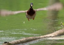 Lake Cumberland Weekend-9057.JPG