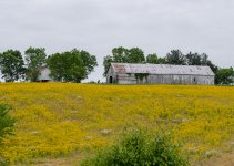 Hwy 53-5927.JPG