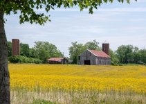 Hwy 53-5941-Edit.JPG