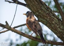 _DSC2024 low res.jpg