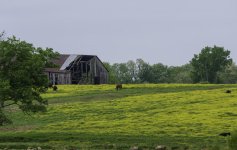 A72_8293-Edit.jpg