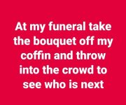 flowers.jpg