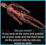 1557777599342.jpg