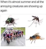 annnoy.jpg