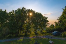 morning sun-1378.jpg