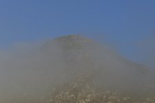 _ROY2537_00001.jpg