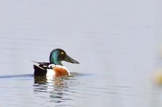 _ROY2594_00001.jpg