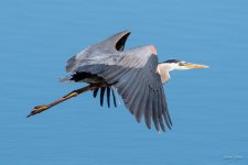 GBHFlight-432.jpg
