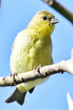 _ROY2639_00001.jpg