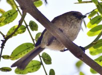 _ROY2782_00001.jpg