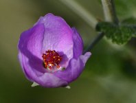 _ROY2844_00001.jpg