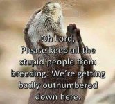 lord.jpg