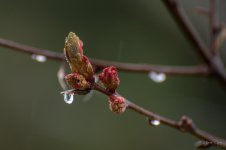 DSC_8327.jpg