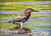 _DSC2141 low res.jpg