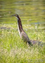 312399d1558317053-hark-2019-a-_dsc2099-low-res.jpg