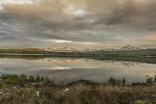 _IH83369-1.jpg