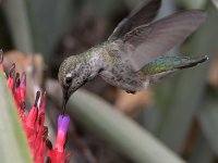 Hummer24.jpg