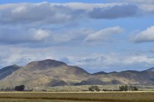 _ROY3176_00001.jpg