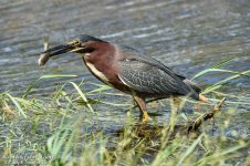 _DSC2245 low res.jpg