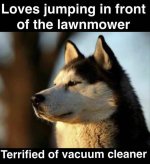 z-funny-93-4.jpg