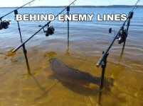 fish.jpg
