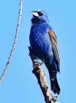 _ROY3546_00001.jpg