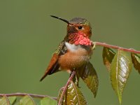 DSC_1432.JPG
