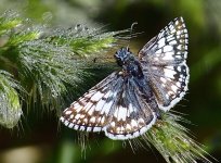 _ROY3794_00001_01.jpg