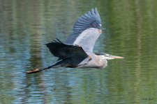 GBHFlight-442.jpg