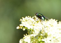 _ROY3893_00001.jpg
