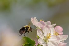 D72_7019.jpg