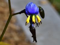 _ROY3989_00001.jpg