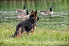 _NIK0742 low res.jpg