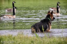 _NIK0744 low res.jpg